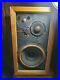 AR-3 Speakers ULTRA RARE UNFINISHED VERY FIRST VERSION BRONZE ONE PAIR