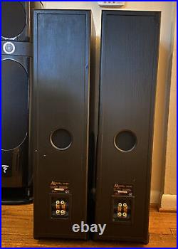 Acoustic Research 310 HO Floor Standing Speakers