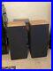 Acoustic Research 94Sx (AR94Sx) Vintage Speakers with bad surrounds