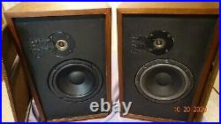 One Fine Pair Of The Infamous Ar6 Speakers