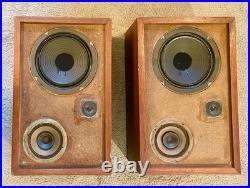 Rare Vintage Rectilinear Mini-III Bookshelf Speaker Pair (Early 1970s)