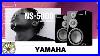 You Won T Believe The Yamaha Ns 5000 Sound Quality